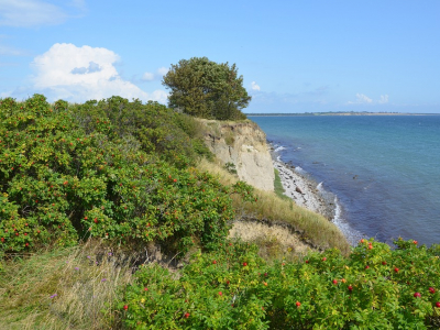 Ærø har en flot natur