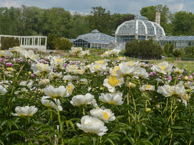 Botanisk have i Kaunas