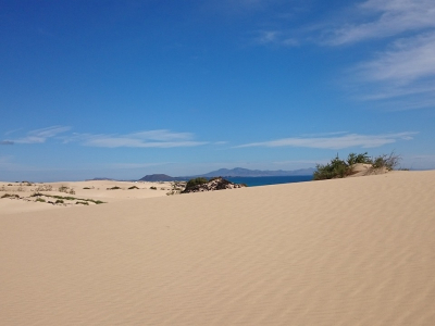 Parque Natural de las Dunas de Corralejo